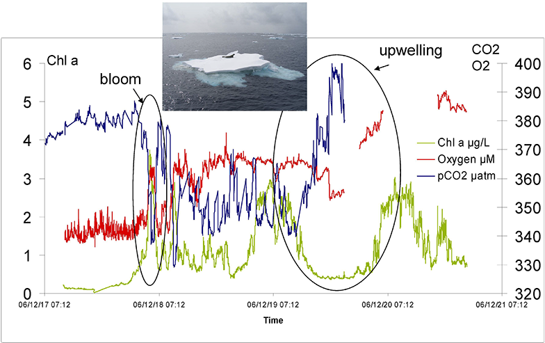 Oden Southern Ocean 2006/07 - Circle (800x504), Png Download