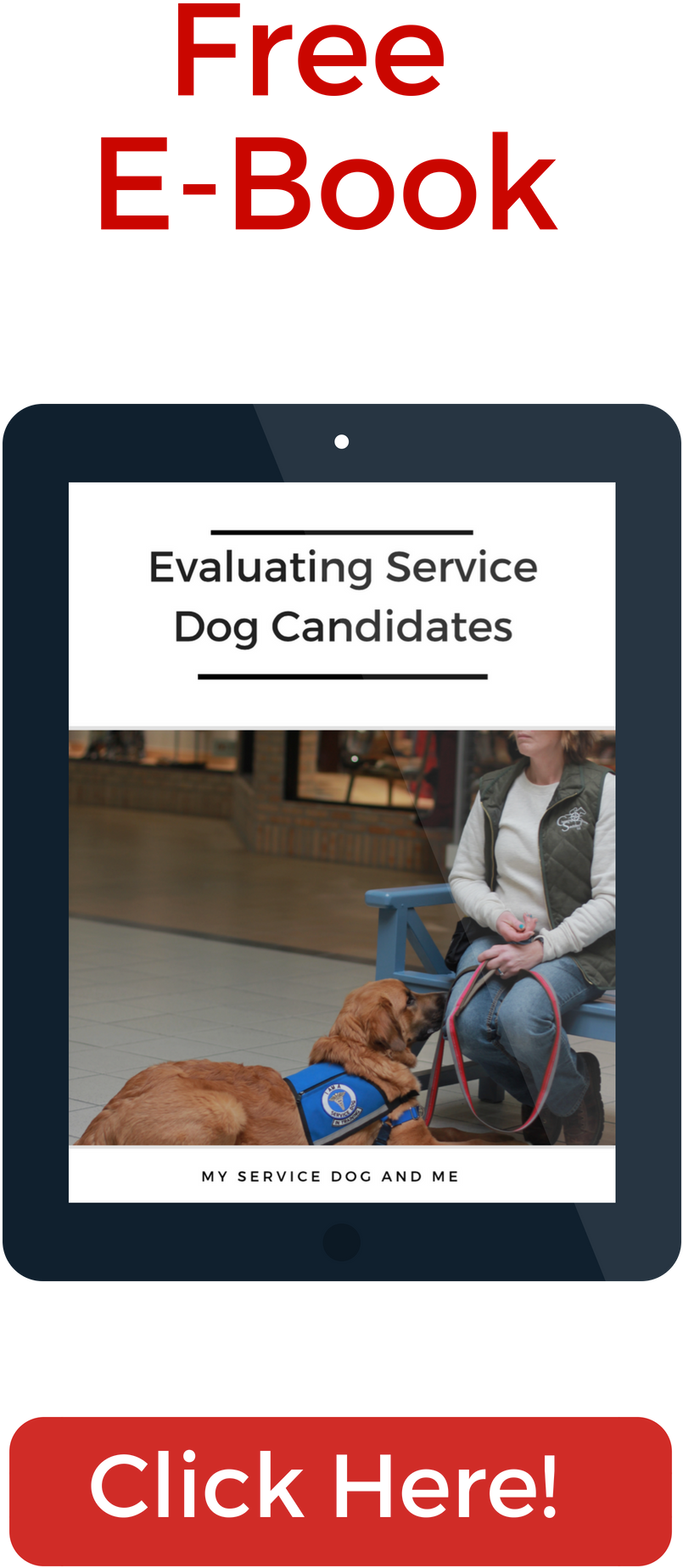 But, Starting With An Older Dog Can Mean Avoiding The - Dog (816x2112), Png Download