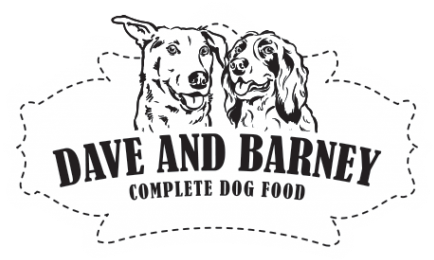 Dave & Barney - Indigenous Authorities Of Colombia (1024x343), Png Download