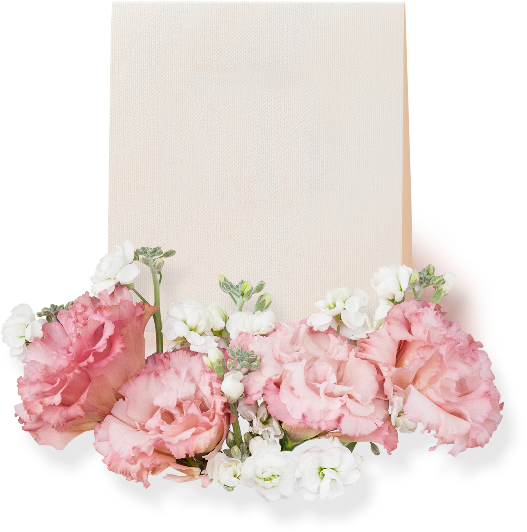 Pink Card Beautiful Flower Decoration Vector - Poster (2891x3117), Png Download