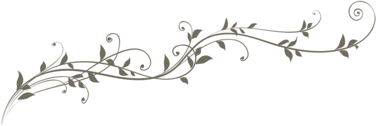 This Png File Is About Pluspng - Wedding Flowers Icon Png Transparent (800x500), Png Download