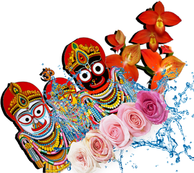 Tuesday, January 1, - Garden Roses (640x560), Png Download