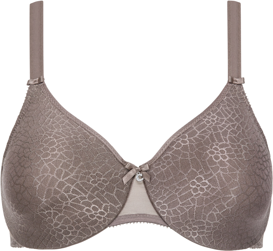 Brassiere (1000x1500), Png Download