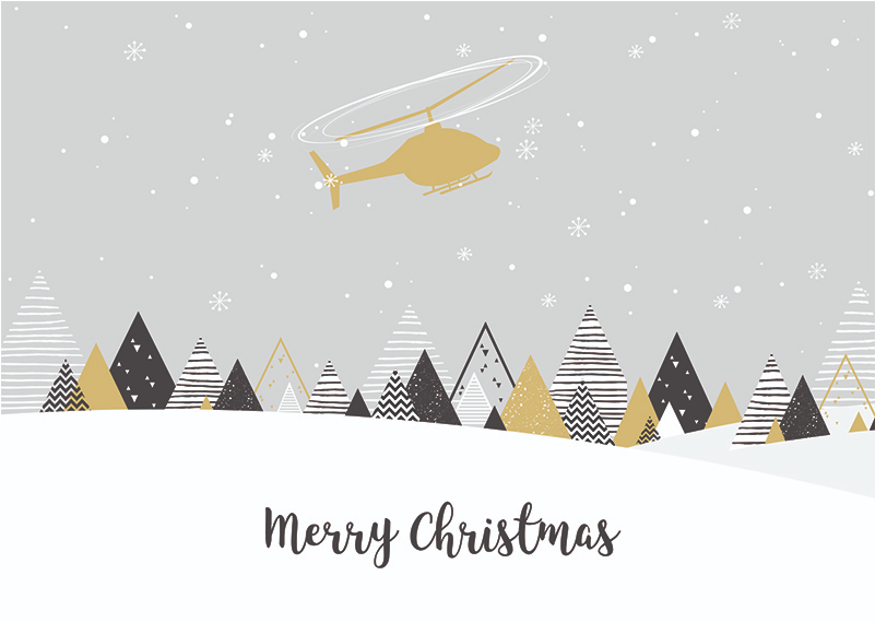 Charity Christmas Cards Flying Through The Snow - Joyeuses Fetes De Fin D Année 2018 (800x800), Png Download