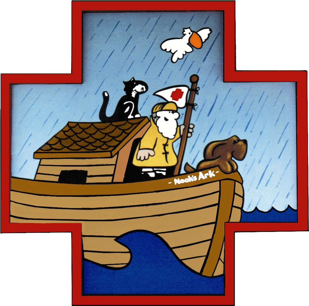 Noah's Ark Animal Hospital - Cat In Noah's Ark (1048x1042), Png Download