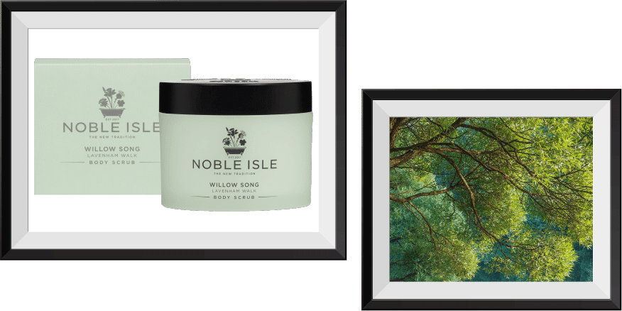 Treat Yourself In Time For All Hallow's Eve With Free - Tree (876x438), Png Download