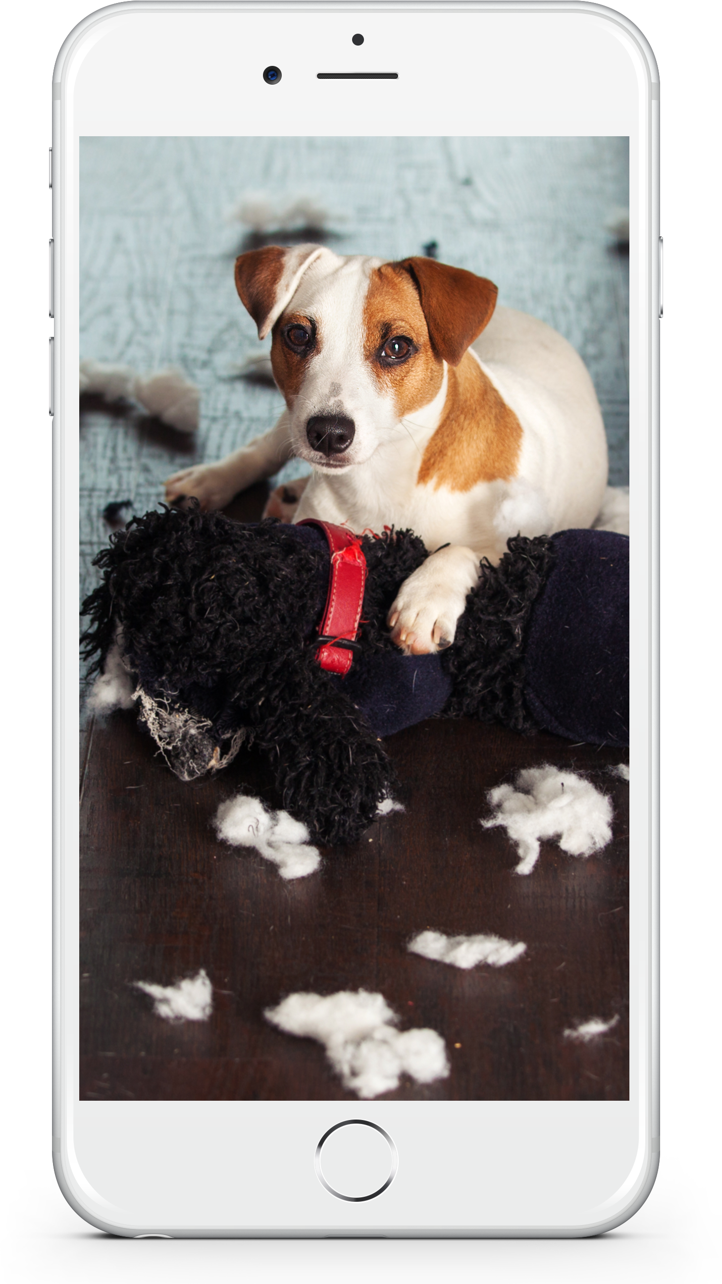 The Hd Pan & Tilt Wi-fi Camera May Stand Out For Its - Pet Cam (1685x2681), Png Download