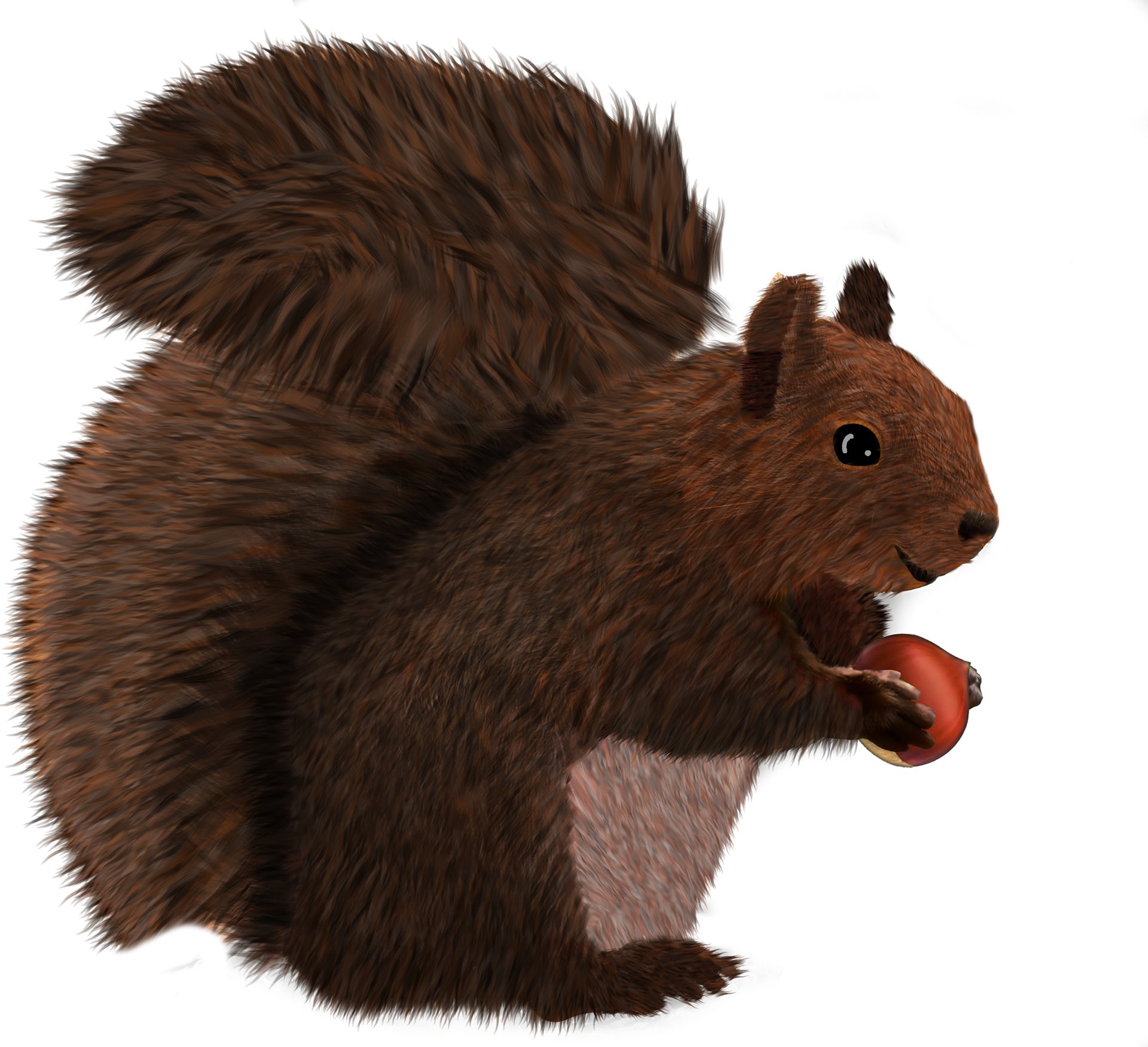 2018 Making Strides Team T-shirt & Flyer Design - Fox Squirrel (1920x1751), Png Download