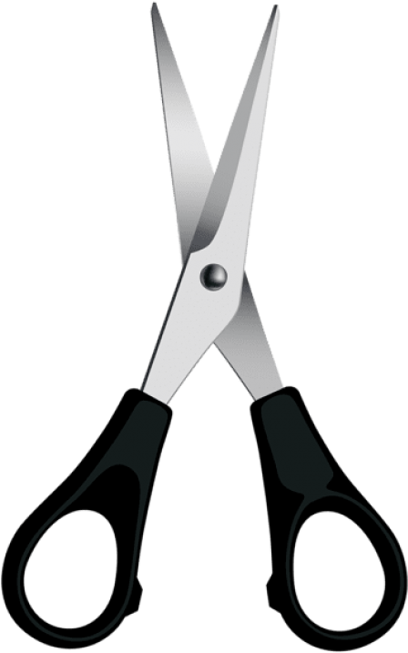 Download Scissors Clipart Png Photo - Scissors Png (480x743), Png Download
