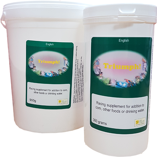 Loading Zoom - Pigeon Racing (600x600), Png Download