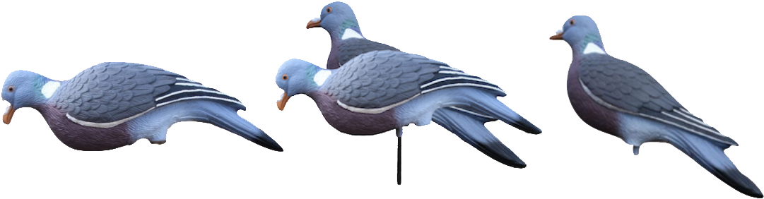 Enforcer Pro Series Pigeon Decoys - Stock Dove (1131x383), Png Download