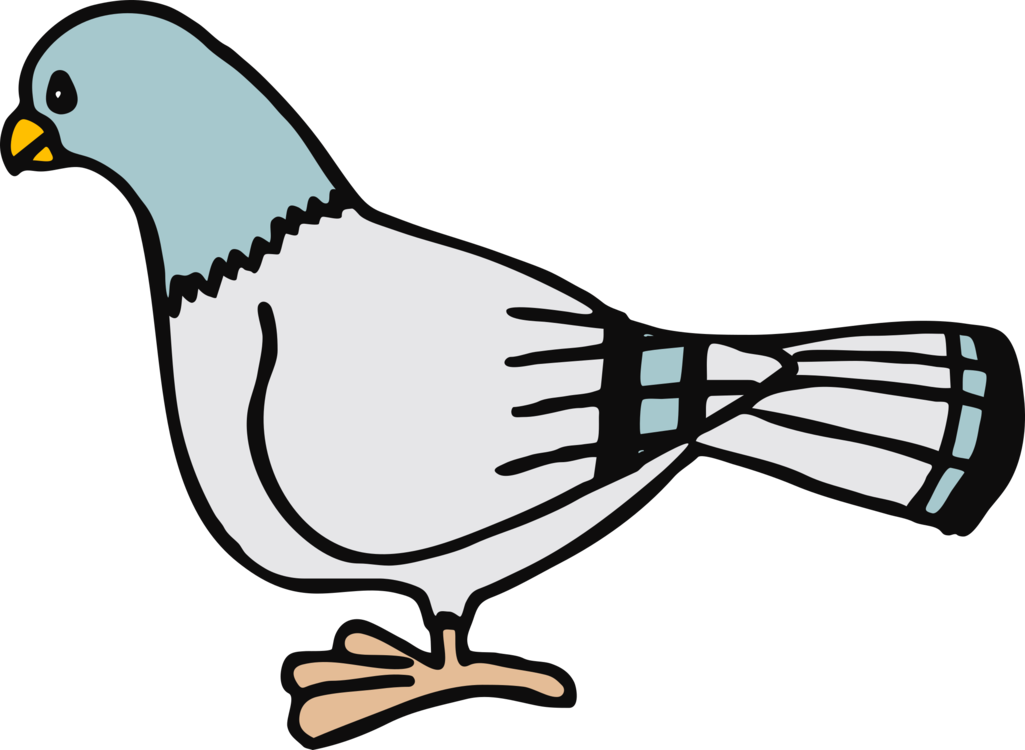 Homing Pigeon Columbidae Bird Don't Let The Pigeon - Pigeon Clip Art (1025x750), Png Download