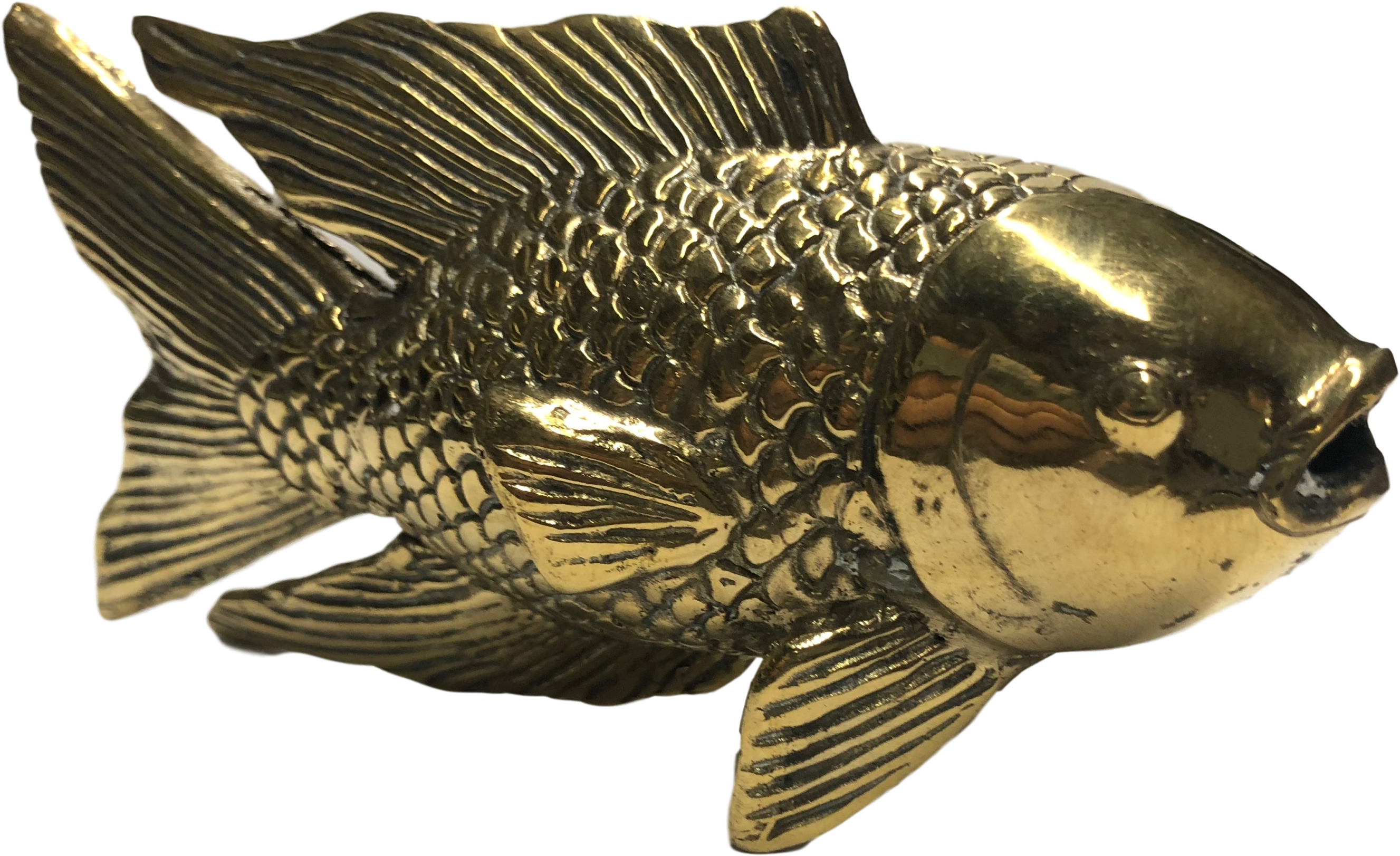 Golden Koi Fish - Carp (3344x2508), Png Download