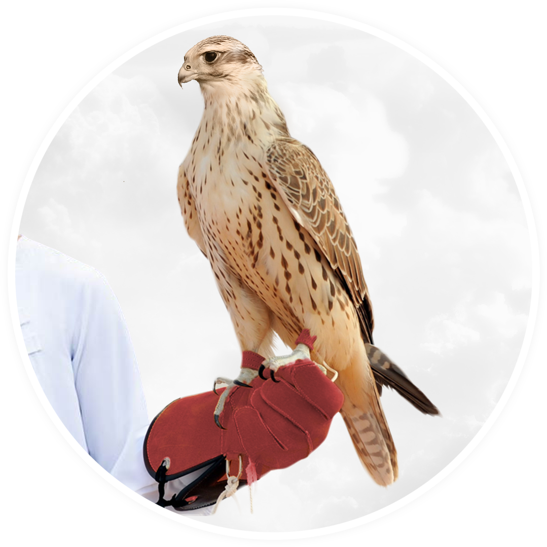 We Succeed When You Do - Falcon (1095x1089), Png Download