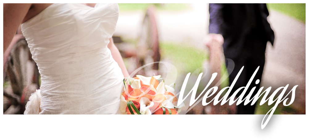 Wedding Portfolio Wedding Portfolio - Bouquet (1000x470), Png Download