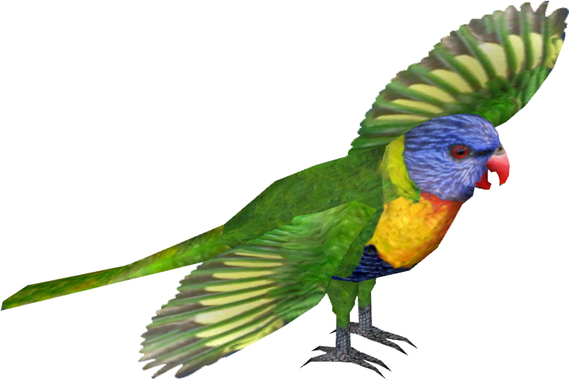 Picture Lorikeet Deinonychus Gaby Raptora Manuel Zt - Rainbow Lorikeet Image Png (804x804), Png Download