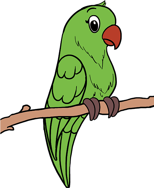 680 X 678 3 - Easy Drawings Of Parrot (680x678), Png Download