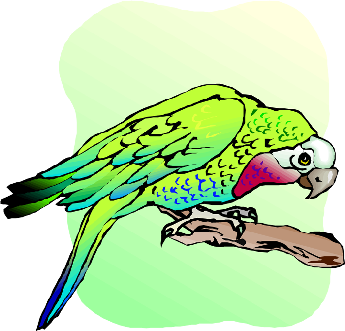 Free Parrot And Macaw Clipart - Budgie (719x750), Png Download