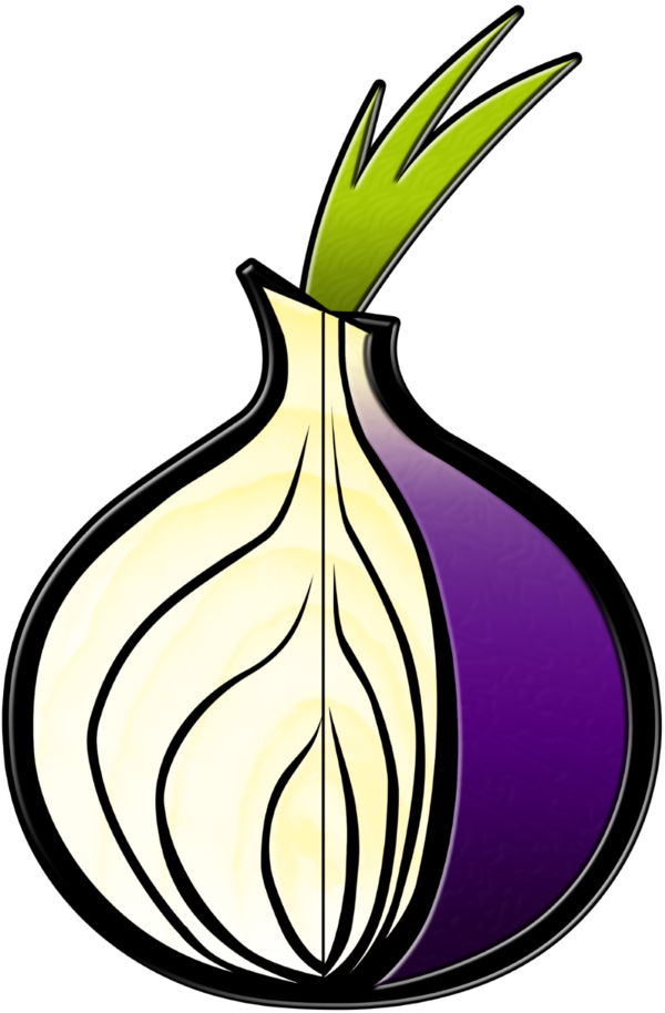 Tor Onions Anonymous Tue Nov 15 - Tor Browser Icon Png (600x914), Png Download
