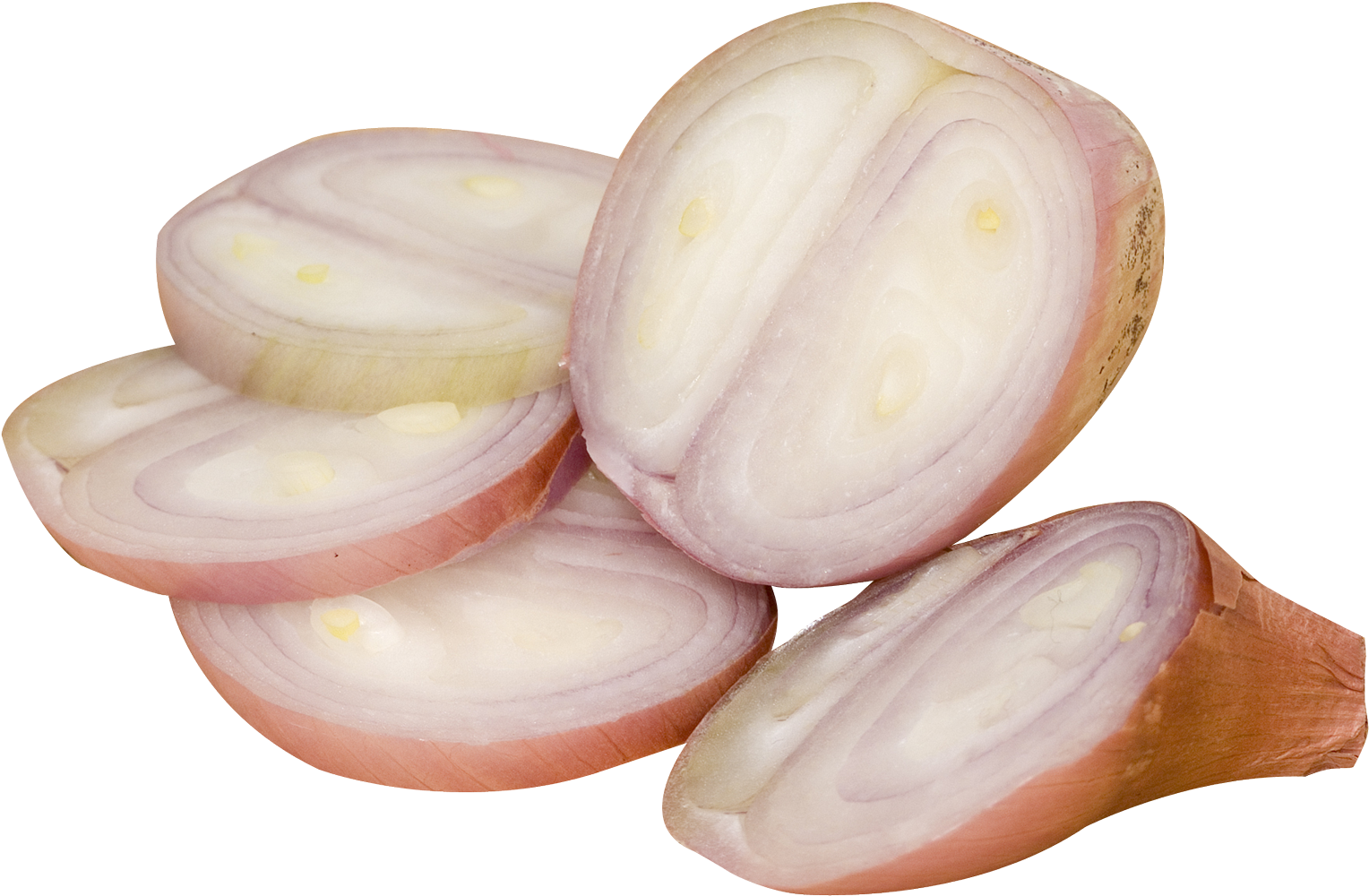 Sliced Onion Png Picture - Wild Onion (1597x1053), Png Download