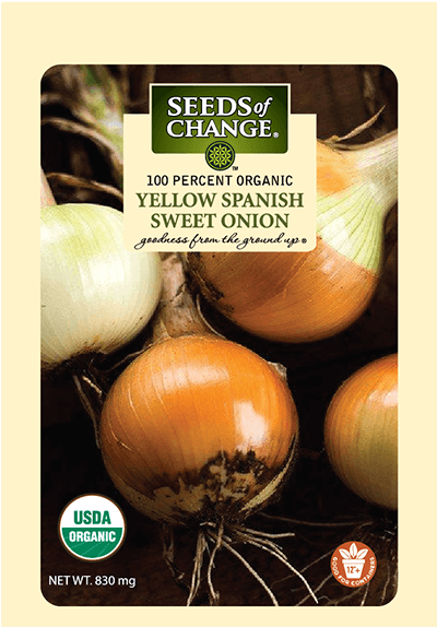 Spanish Sweet Yellow Onion Seeds - Seed (573x573), Png Download