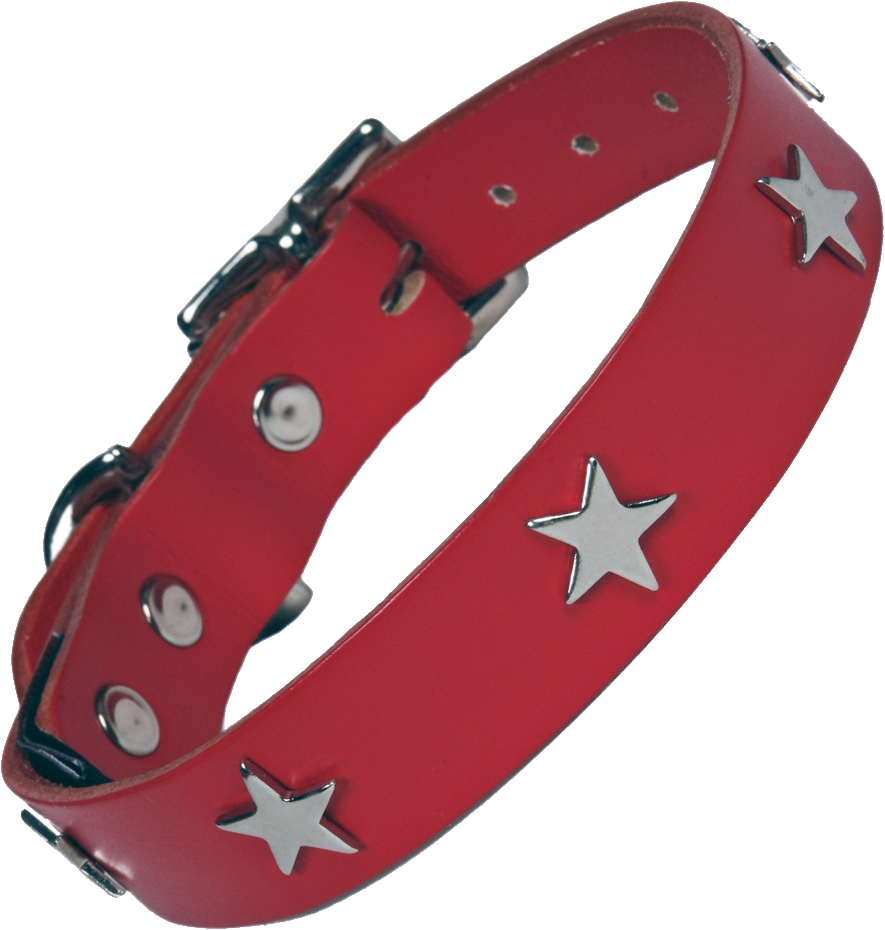 Dog Collar Png - Red Dog Collar With Stars (885x930), Png Download