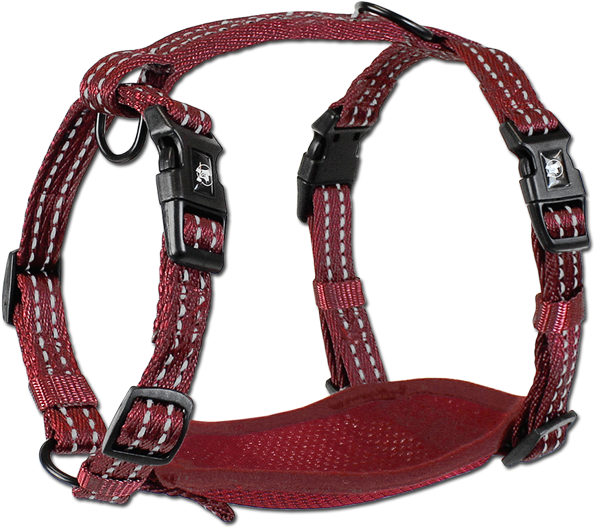 Adventure Harnesses - Dog Harness Png (1000x1000), Png Download