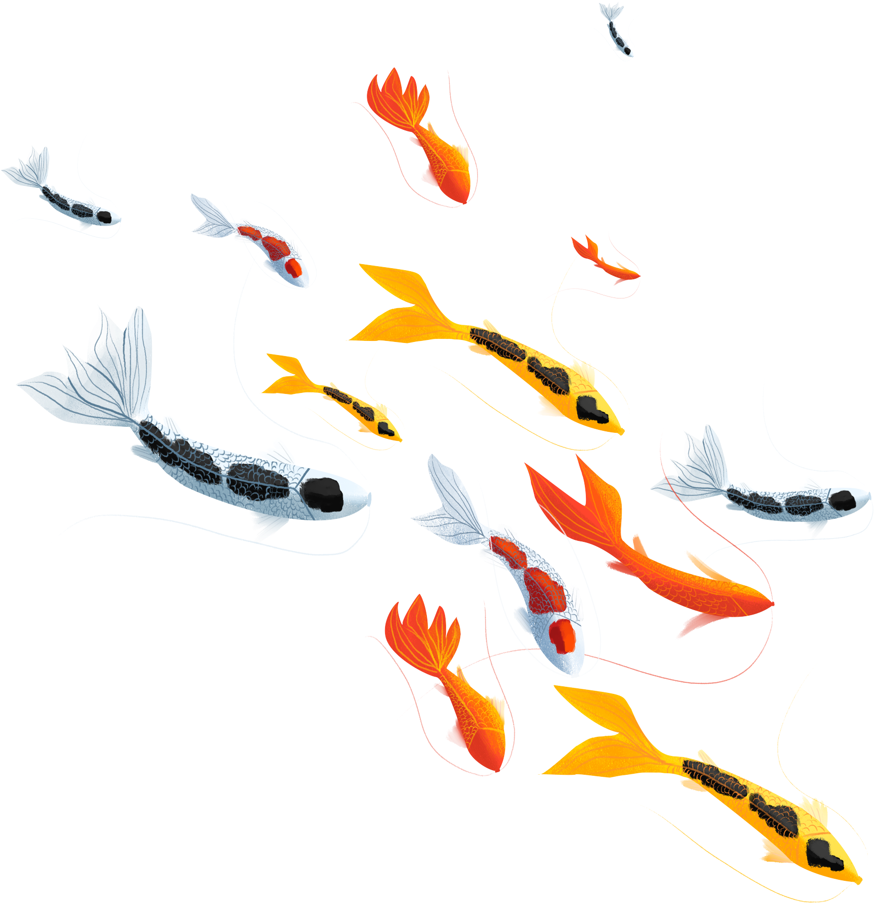 Chinese Style Illustration Hand Drawn Lucky Koi Png - Illustration (2000x2000), Png Download
