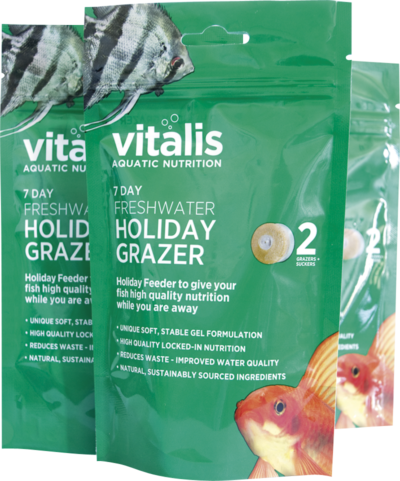 Holiday Grazer Group - Vitalis Holiday Grazer (800x962), Png Download
