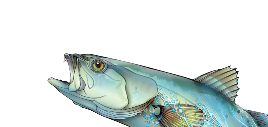 Img Img - Underwater (898x427), Png Download