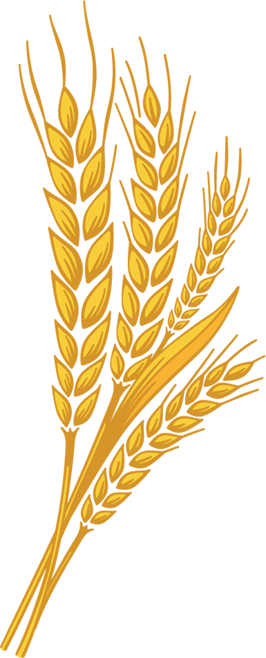 Wheat Leaf Png - Logo Wheat Heart Png (385x950), Png Download