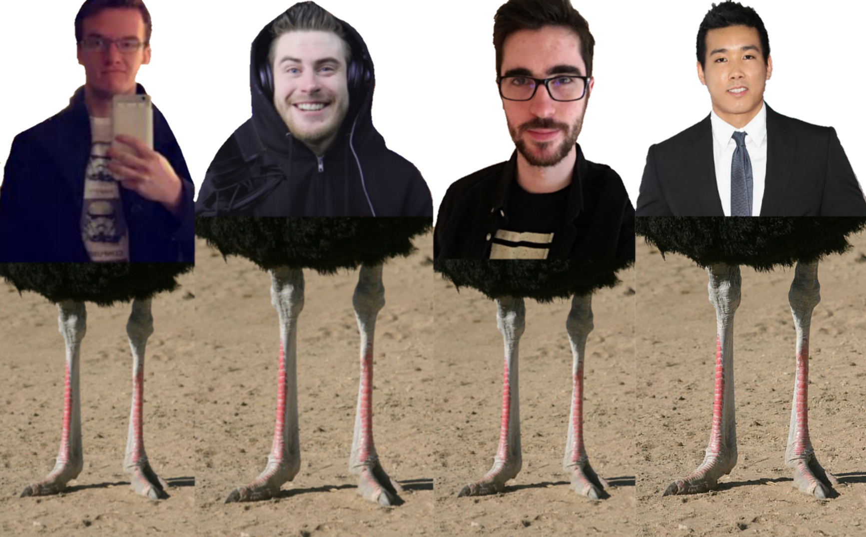 Photoshop Wizi Was Very Bored - Ostrich Legs (1733x1075), Png Download