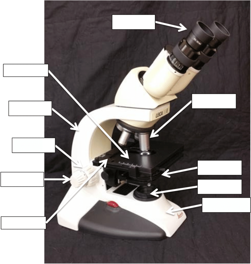 Label The Microscope Diagram - Robot (850x896), Png Download