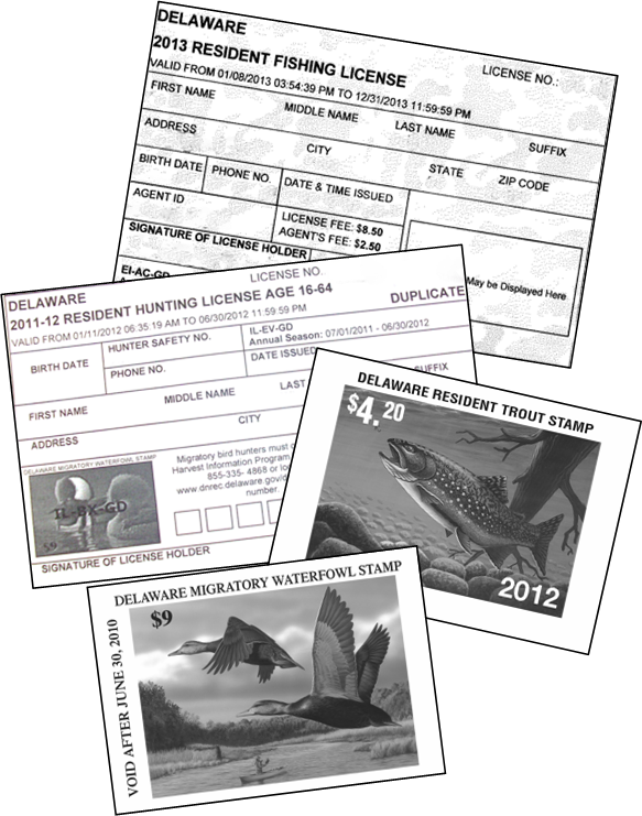 Division Of Fish & Wildlife - Delaware Fishing License 2018 (583x741), Png Download