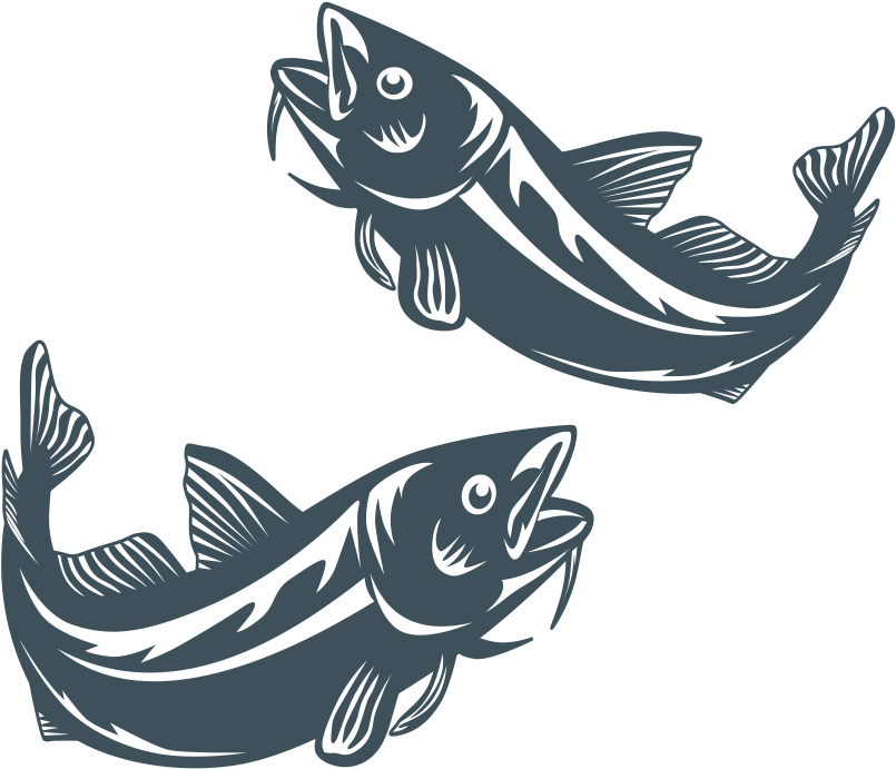 Imcc4 Focus Group - Fish (838x715), Png Download