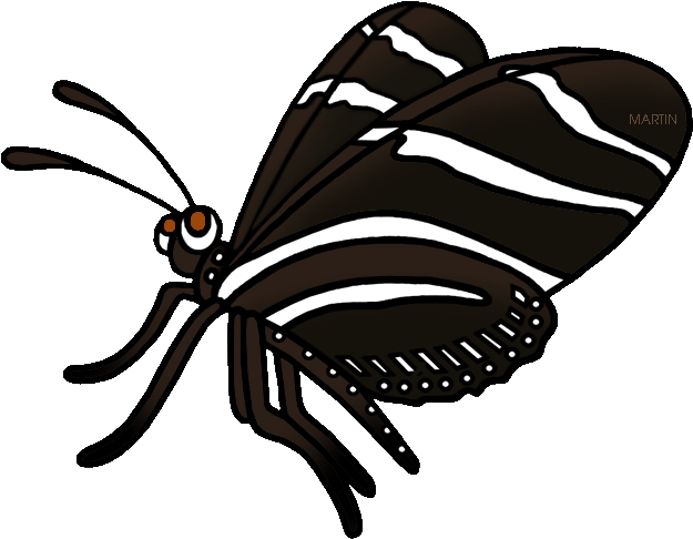 Zebra Clipart Phillip Martin - Zebra Longwing Butterfly Gif (648x511), Png Download