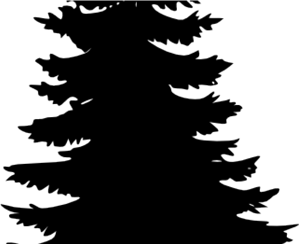 Pine Tree Clipart Cemara - Christmas Trees Png Black (640x480), Png Download