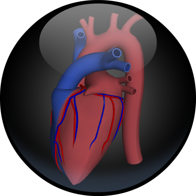 3d Road Map To The Human Heart 12 - Illustration (630x630), Png Download