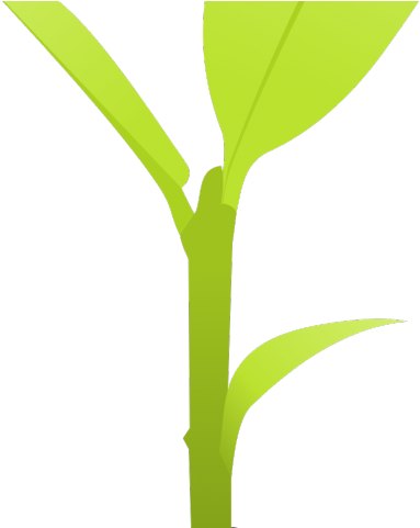 Plant Clipart Lady Finger - Houseplant (640x480), Png Download