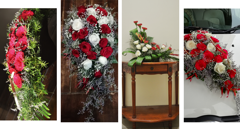 Budding Love - Garden Roses (790x424), Png Download