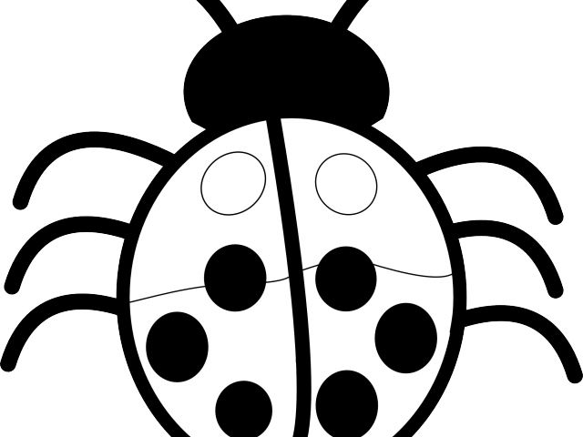 White Flower Clipart Top View - Clip Art Black And White Bug (640x480), Png Download