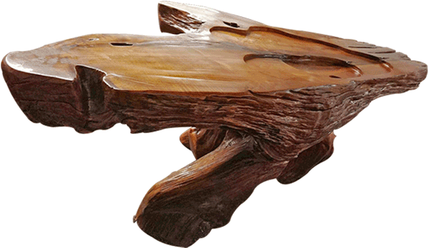 Camphor Wood Tree Trunk Table - Bench (720x743), Png Download