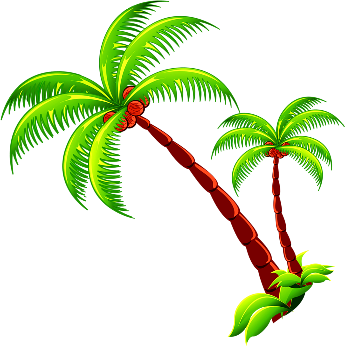 Coconut Tree Branch Free Photo Png Clipart - Coconunt Tree Png (1430x1433), Png Download
