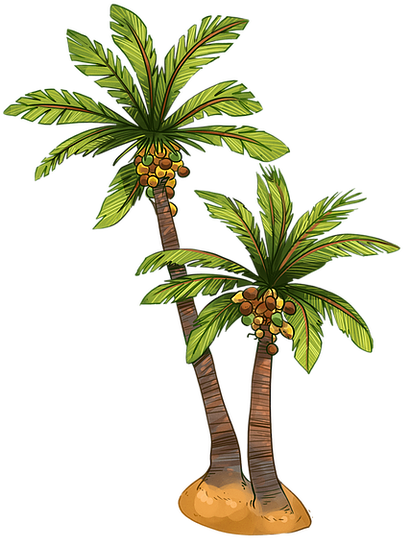Coconut-tree - Roystonea (600x600), Png Download