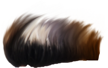 Picsart Modded Apk - Lace Wig (799x768), Png Download