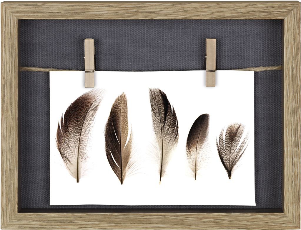 "cavo" Portrait Frame Gallery, Oak, - Picture Frame (1100x1100), Png Download