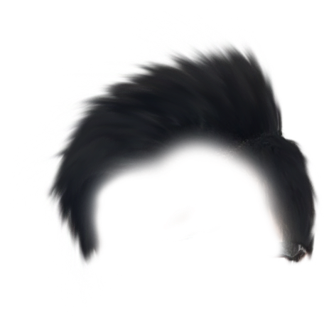 15th August Hair Png 15th August Editing Png - Insect (1024x793), Png Download