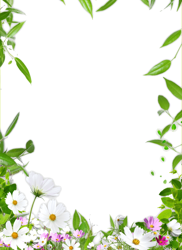 Picture Ceiling Flower Frame Border Drawing Clipart - Nature Flower Border Design (605x833), Png Download
