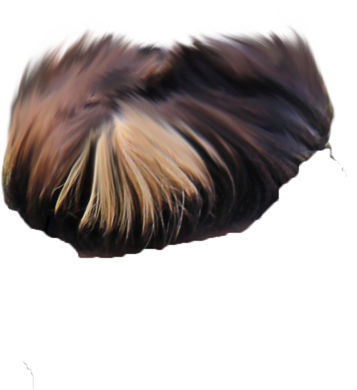 Hair Png ➤ Download - Lace Wig (1602x1722), Png Download