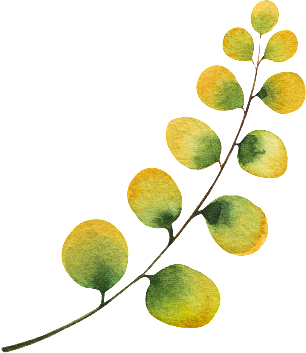 A Small Leaf Branch Vector - Seedless Fruit (1024x1179), Png Download